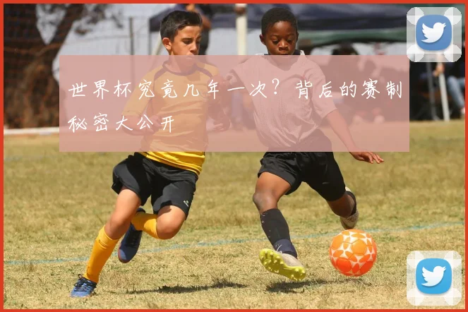 世界杯究竟几年一次？背后的赛制秘密大公开