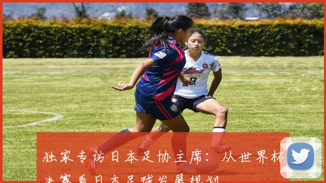 独家专访日本足协主席：从世界杯决赛看日本足球发展规划