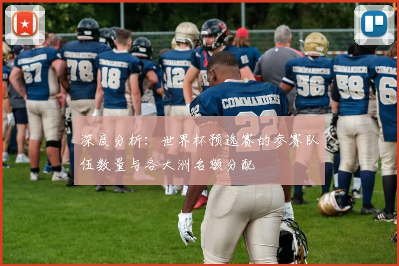 深度分析：世界杯预选赛的参赛队伍数量与各大洲名额分配