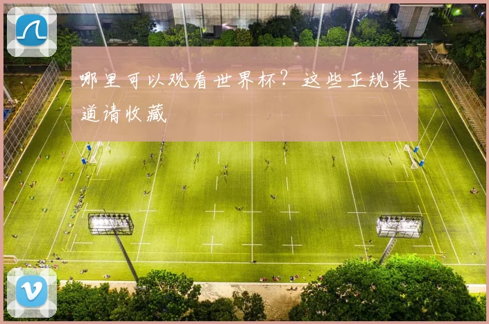 哪里可以观看世界杯？这些正规渠道请收藏