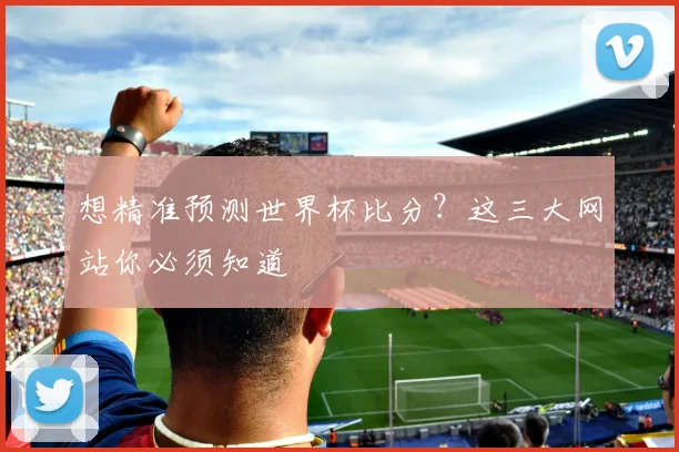 想精准预测世界杯比分？这三大网站你必须知道
