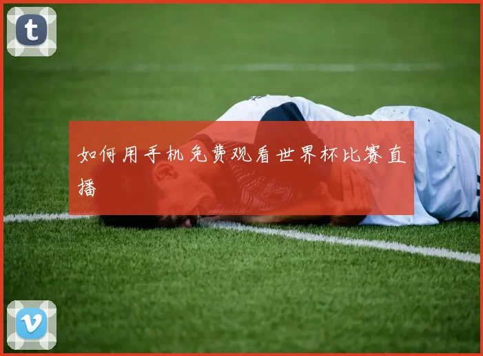 如何用手机免费观看世界杯比赛直播